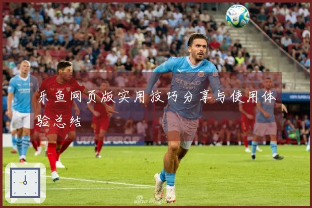 乐鱼网页版实用技巧分享与使用体验总结