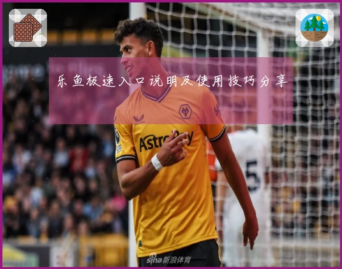 乐鱼极速入口说明及使用技巧分享