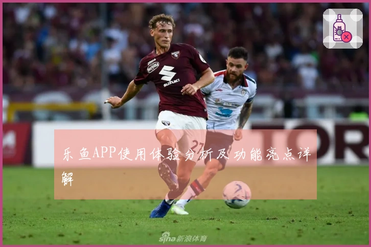 乐鱼APP使用体验分析及功能亮点详解