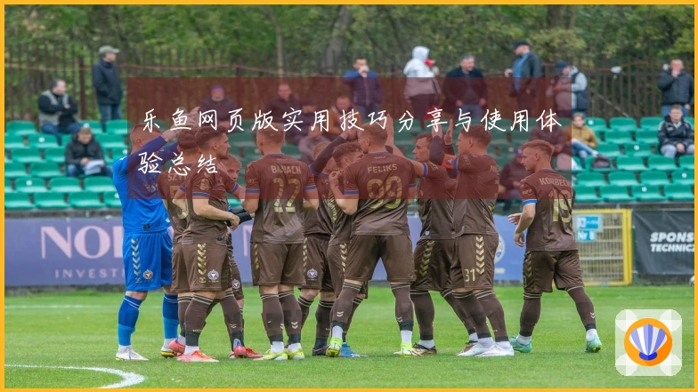 乐鱼网页版实用技巧分享与使用体验总结